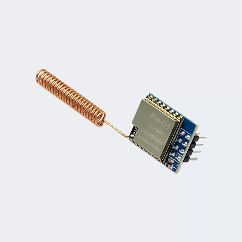 Lora 01
